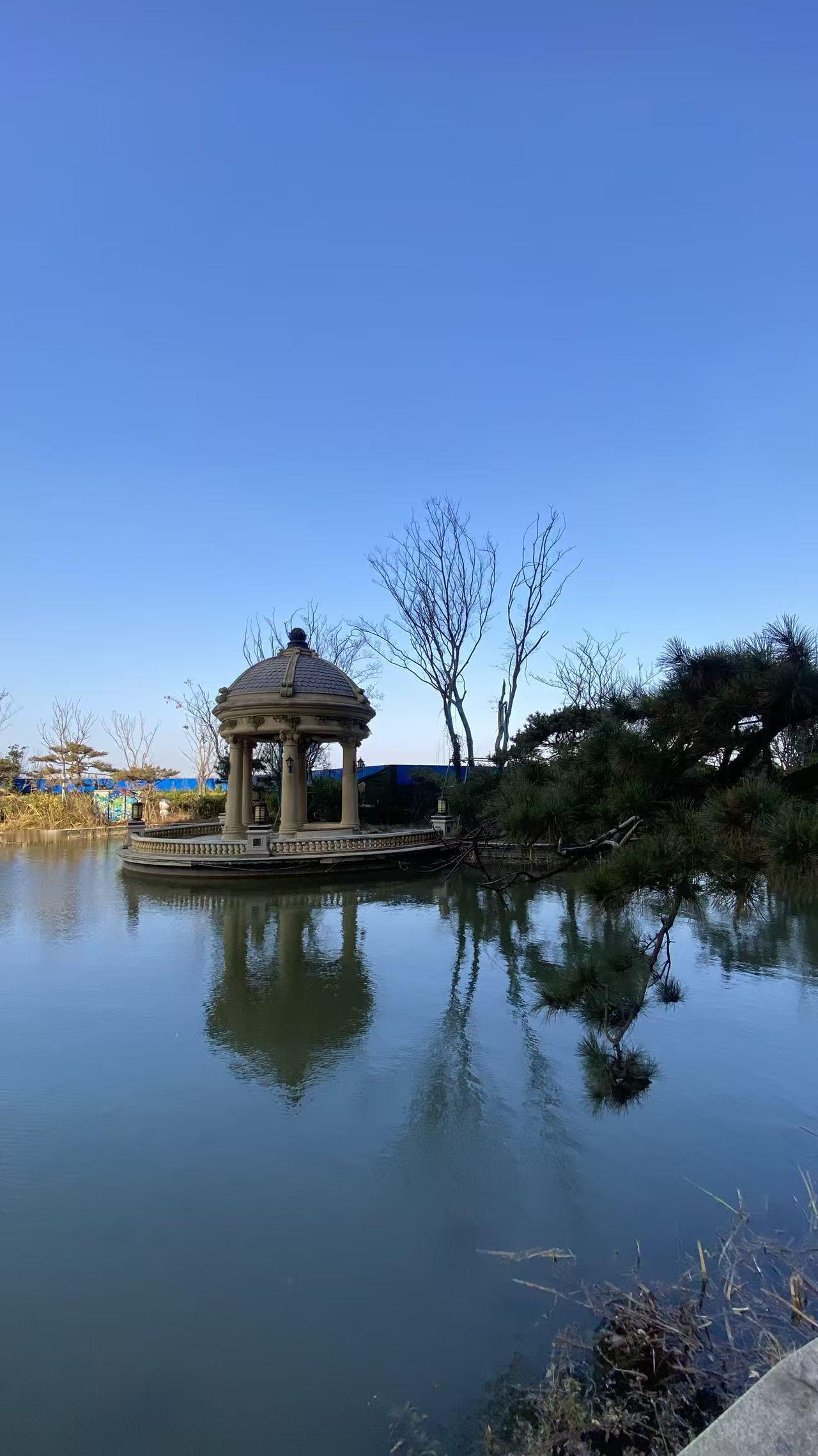 今天是金碧物业走后的第47天。今天小区里面6号楼，继续打扫景观湖。他们还联系