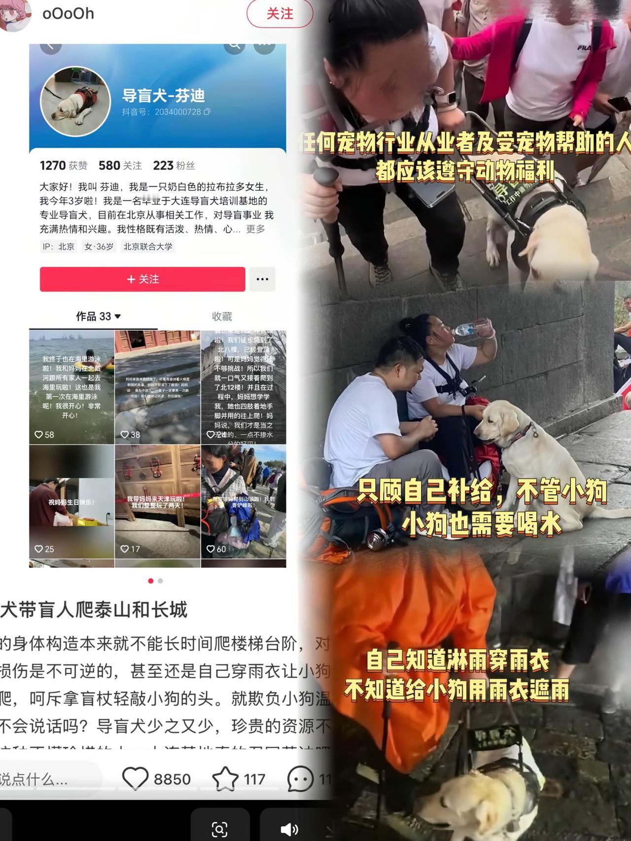爬泰山'导盲犬风波'又有新后续！王女士失业后被迫回吉林老家，委屈到要上残联维权