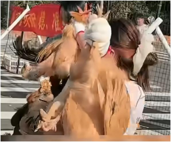 00后老板给员工发百只土鸡当奖励，这操作太秀了！现在的00后老板就是不一样，想法