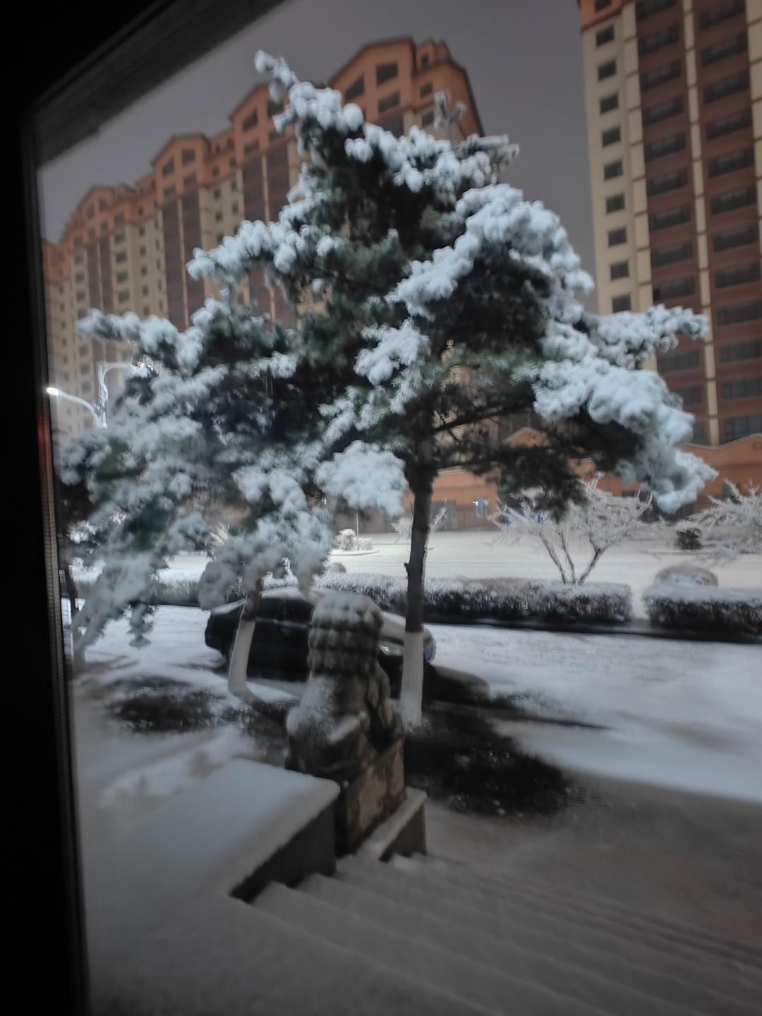 今年的冬天，似乎比以往任何时候都更像是一个“分水岭”。它不再仅仅是季节的更替，更