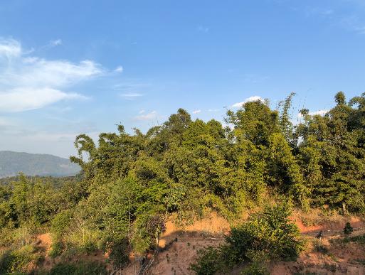 凯文沃什的美元金融政策主张，如果概括起来的话，其实就四个字，那就是降息缩表。这跟