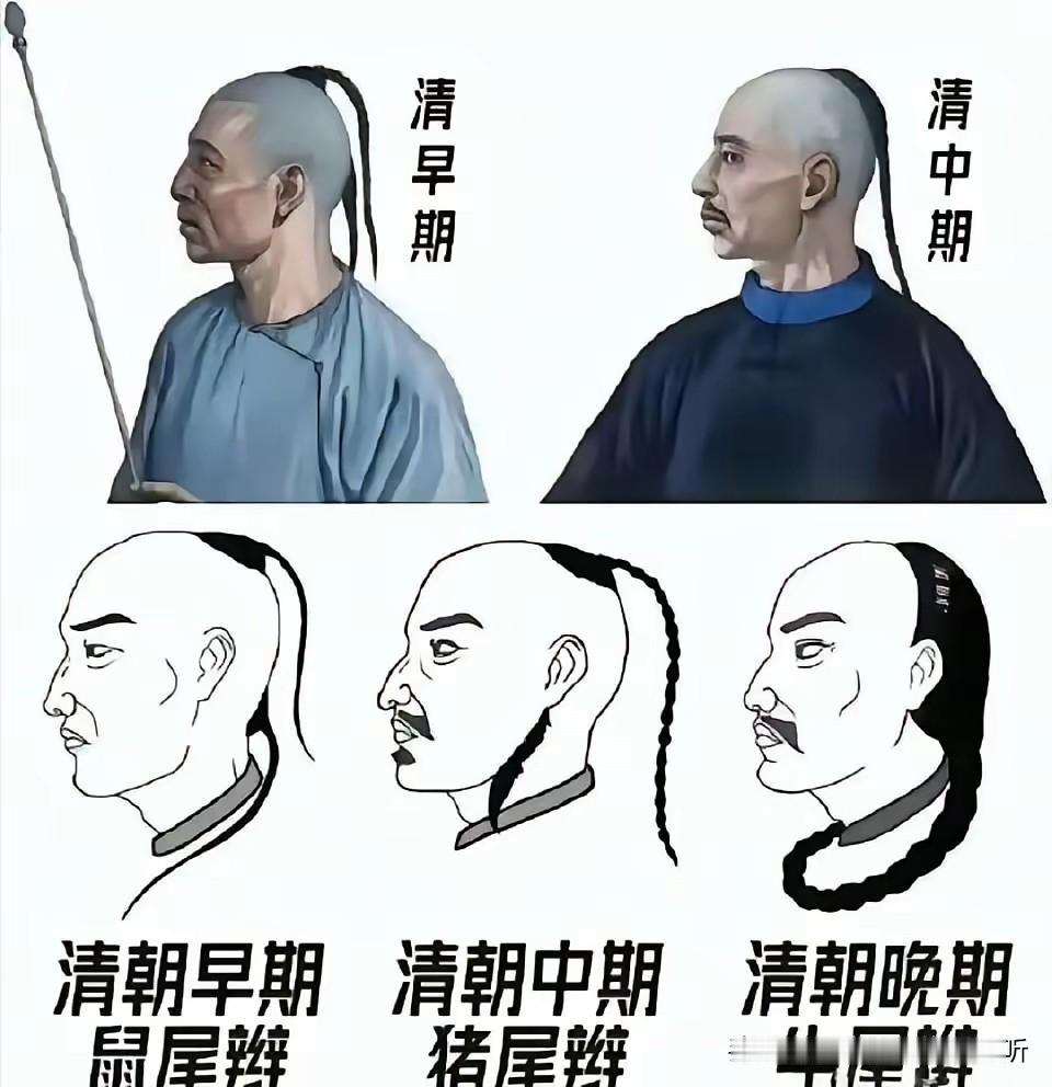 大清朝辫子进化图