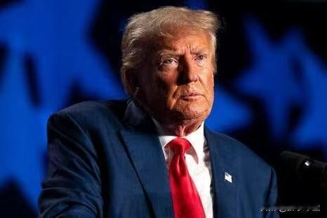 日本舆论失望驯狗师不再发出指令，狗狗已茫然不知所从！狗狗正在做一个、驯