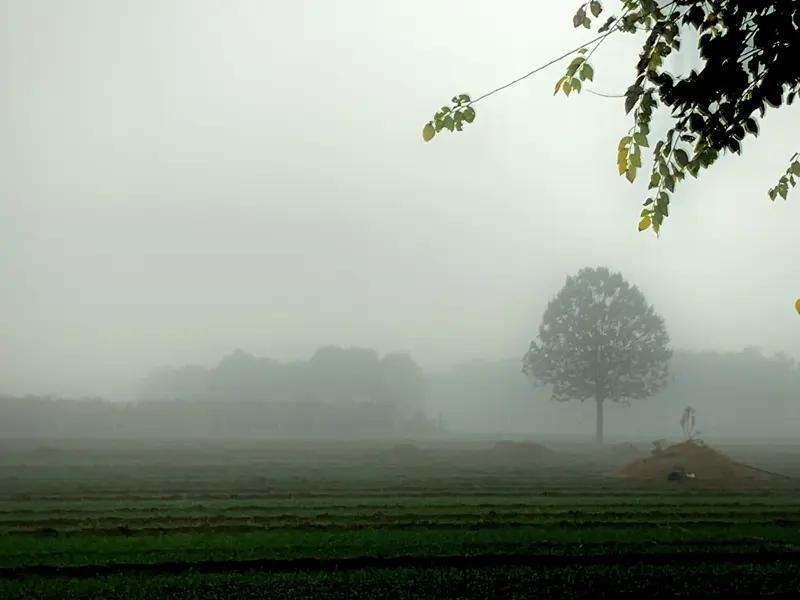 前些天，大哥的岳母娘走了。年纪70岁，突然就没了。现在高度怀疑是心肌梗塞了。