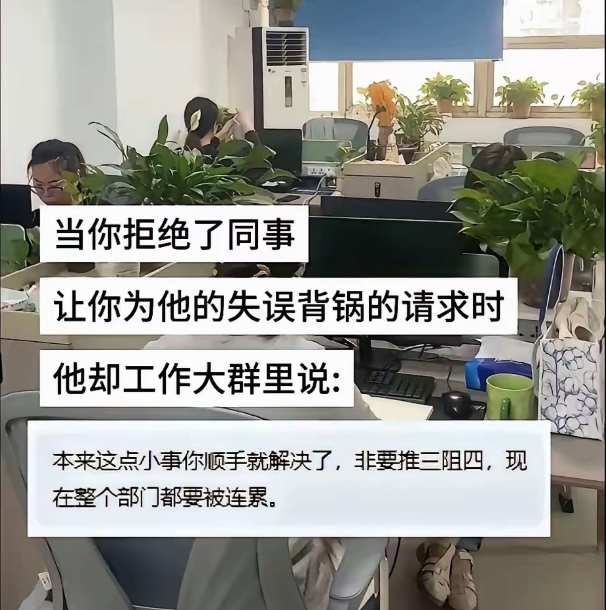 你们会怎么回？