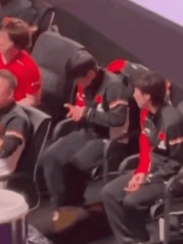 哈哈，莎莎的小短腿，每次都够不着地，一摆一摆的太可爱了！你发现了吗？莎莎和