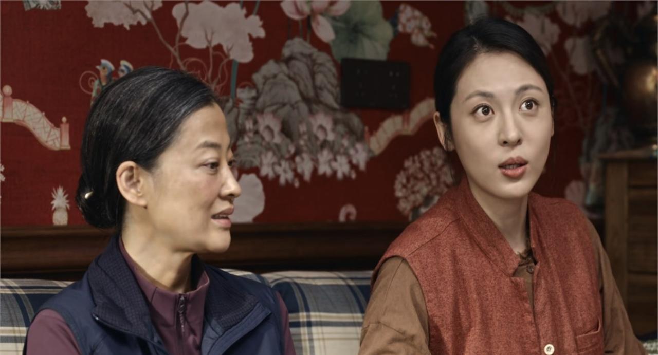 这根本不是姐姐，这是全家人的人质，她在替全家人坐牢。你看白芍的银行流水：离婚后