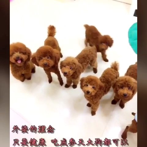 100110 MBC 星期天晚上 eco house EP02[韩语