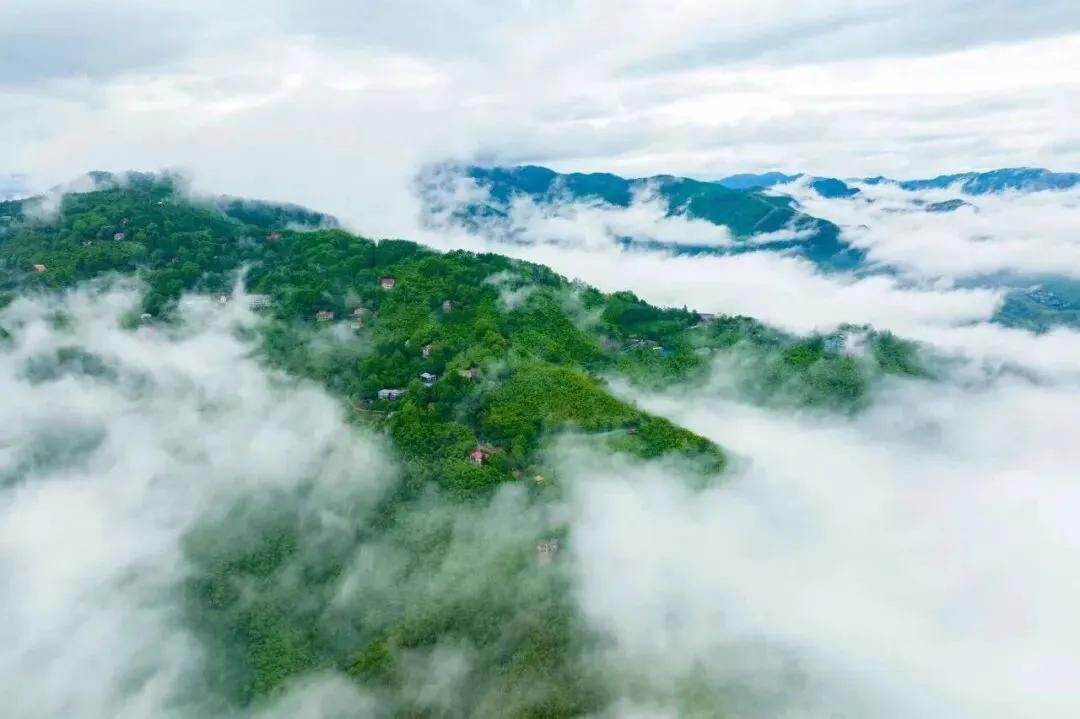 国家出手！莫干山要变天了！重磅！国家林草局正式批复！莫干山未来十年的命运，定了