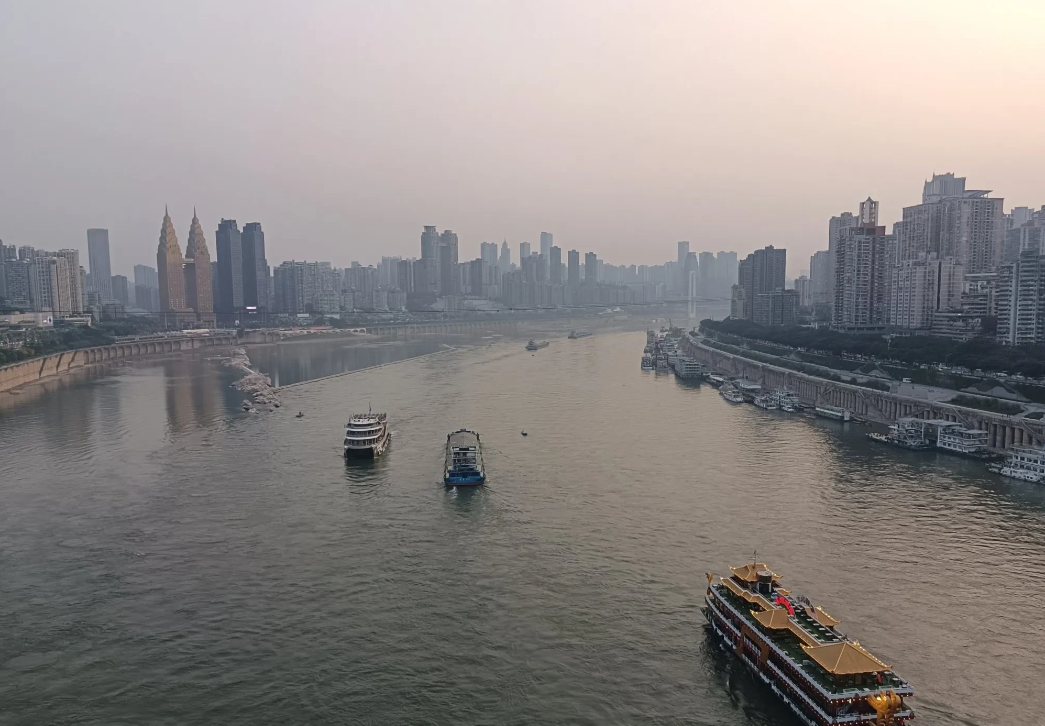 前几年，我的一个同事爬山被毒蛇咬伤，同事立即下山自己打车赶到医院，并没有把咬伤他