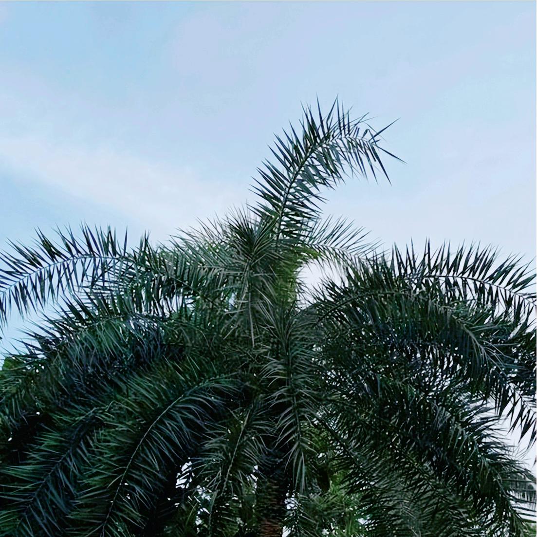 这条消息  关于成都市原官员的 11月26日，一条关于成都市原官员的消息传