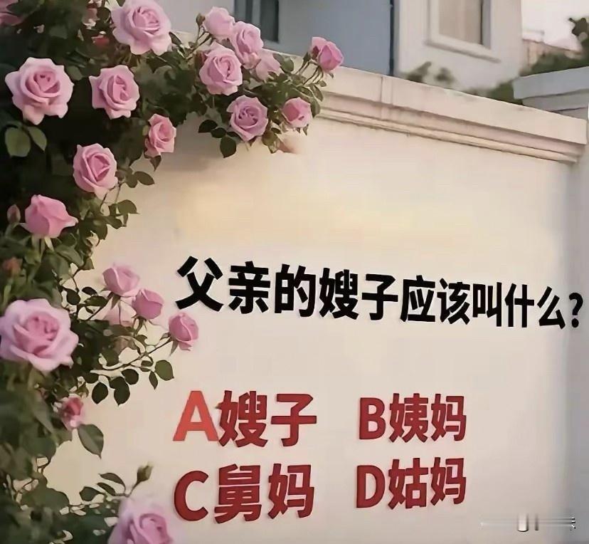 所以父亲的嫂子应该叫什么呢？