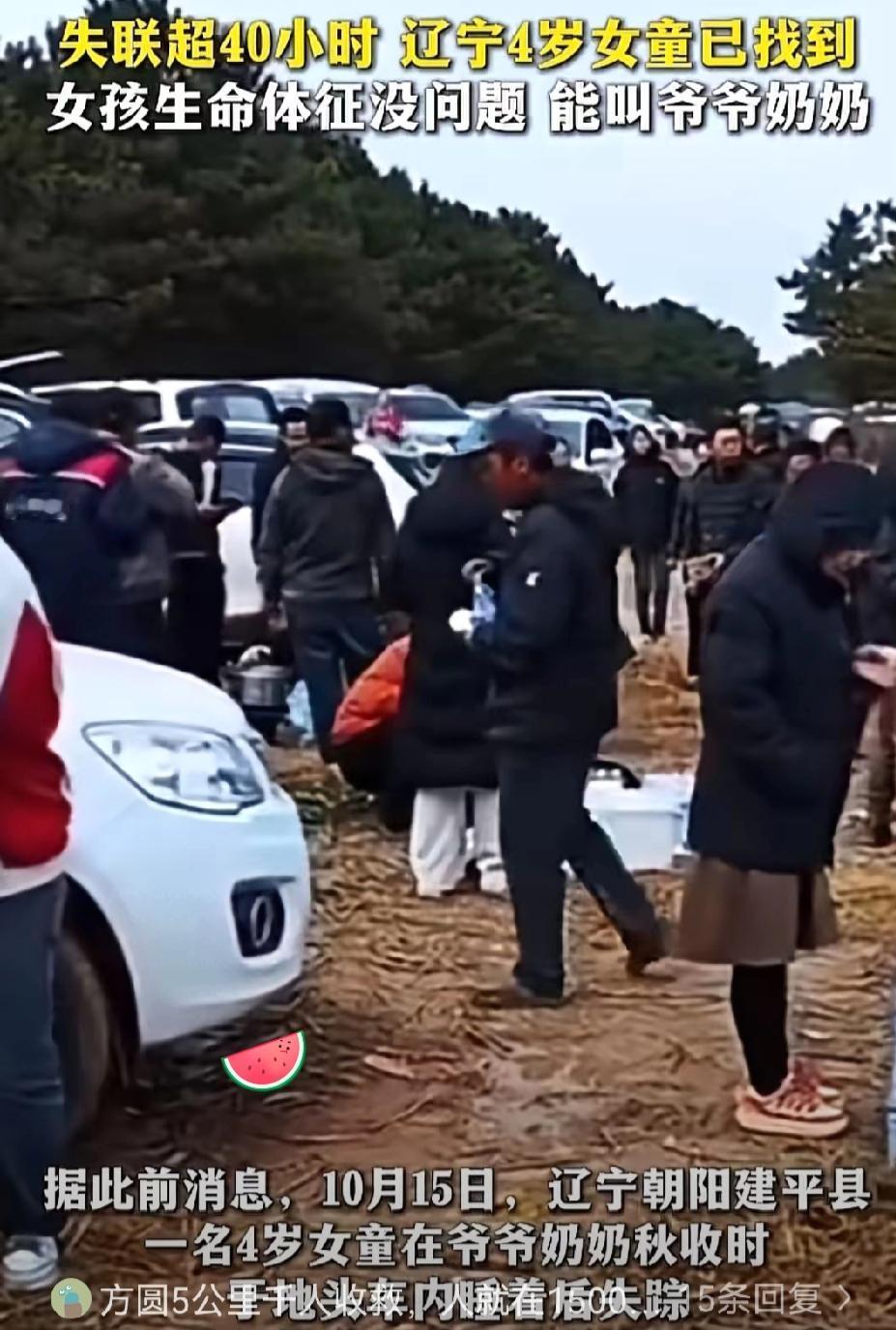 辽宁失联女童找到了！1500米外山沟里躲山洞，这结局太暖了！刷到辽