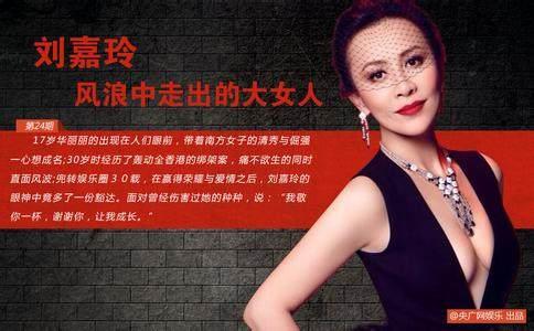 收入证明_娱乐圈年度收入排行榜(2)