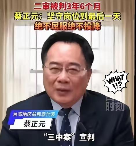 尘埃落定，2.39亿全额没收，73岁蔡正元笑着谢幕。最后一次出镜，他全程面带微笑