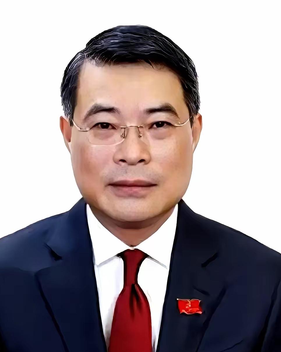 越南这盘棋，越来越有意思了都以为苏林上来要大换血，把阮富仲的老人都给清出去