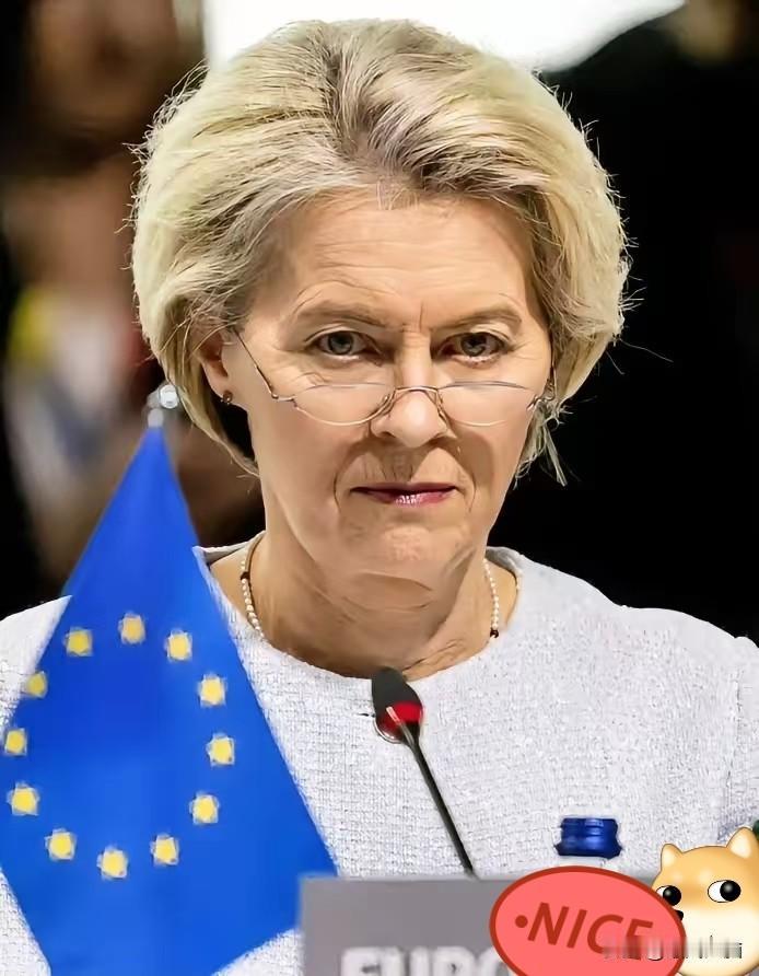 冯德莱恩此前针对中国电动车的关税主张未能落地，欧盟最终与中方达成协议！据《联