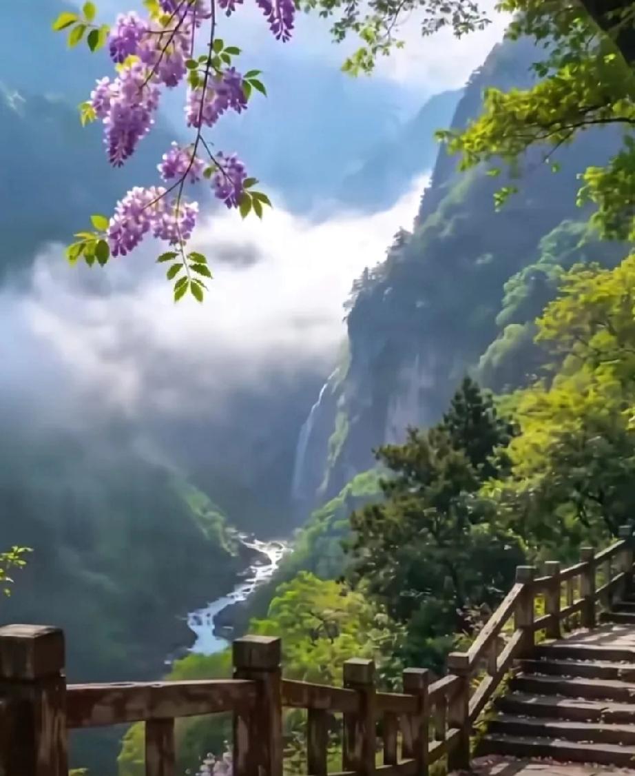 四川成都，一个5岁小女孩在商场走丢了。​她没哭没闹，聪明得很，直接跑进旁边一家