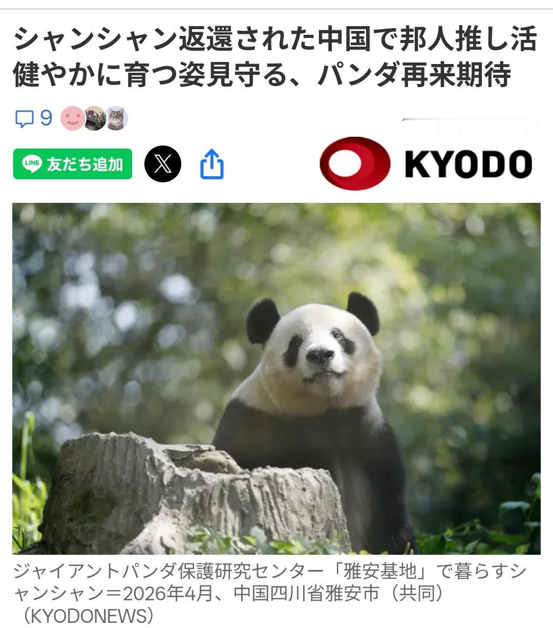 日本“熊猫迷”专程赴四川雅安看望“香香”日媒共同社10月3日报道:许多日本游客