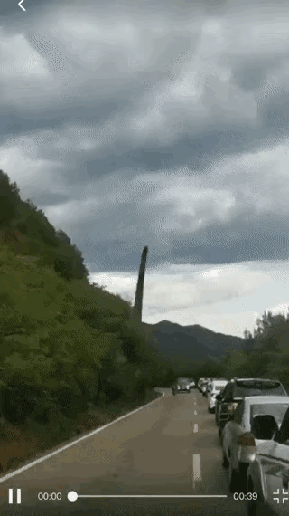 其实我一眼就知道这个是什么，你知道吗？