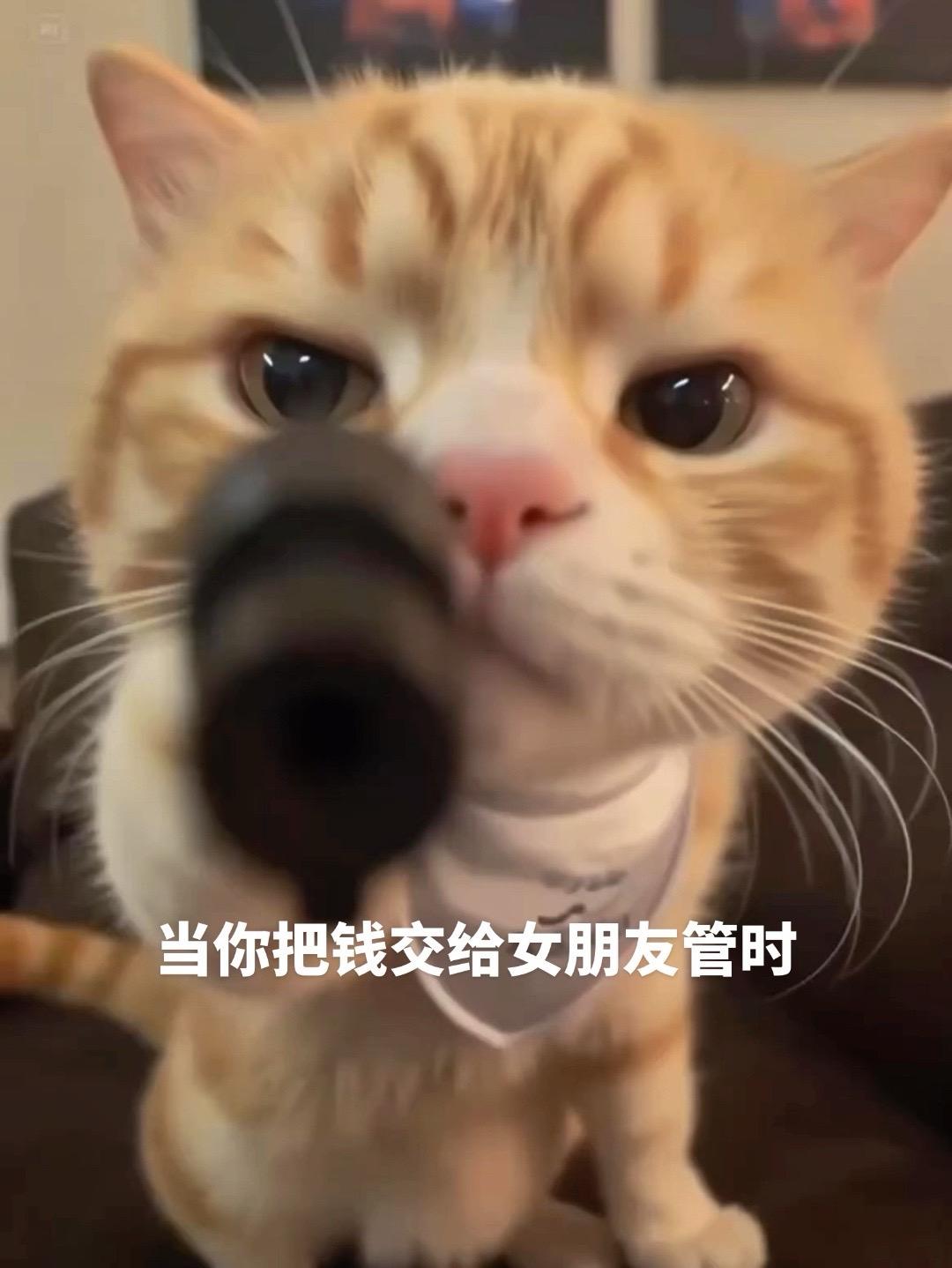 谁给我拳头 谁给我馒头我会记得清清楚楚 情侣赚钱情侣软件