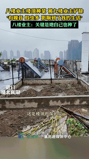 “脸怎么这么大呢？”湖北襄阳一居民楼，八楼业主楼顶种菜，被九楼业主以噪音大，蚊虫