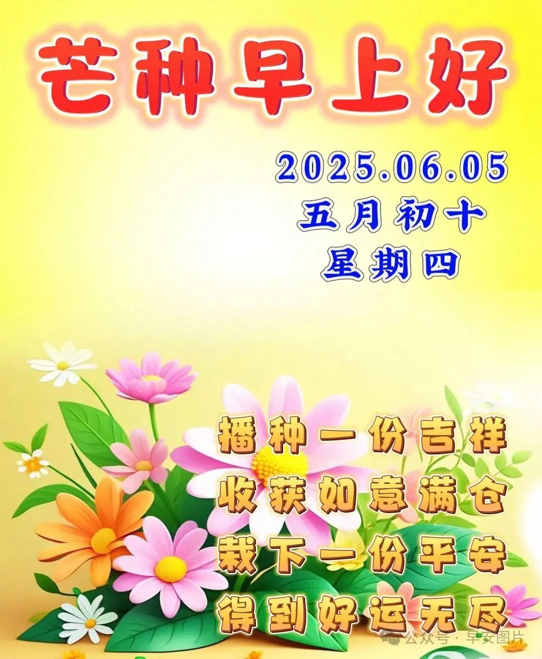 ❤️🙂🌹美丽的早晨，灿烂的你，美好的生活在等你！美丽的天气，美好的你，美好的