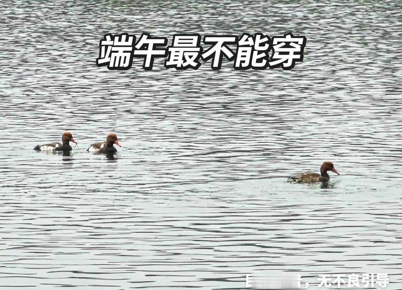 世锦赛大捷了！丁俊晖10比5拿下吉尔伯特，16强会师赵心童，重磅中国德比来袭！赛