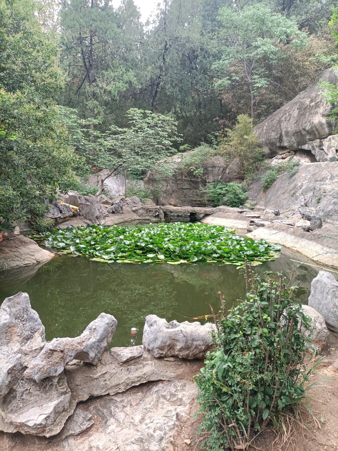 对皇帝食言--后果很严重唐初大将卢祖尚，能文能武，他屡立战功，先后担任寿州