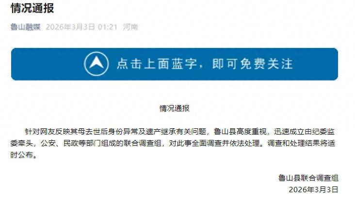 这是要吃绝户！河南平顶山，母亲去世后，9岁女儿的抚养权被转给小姨。10年后，女子