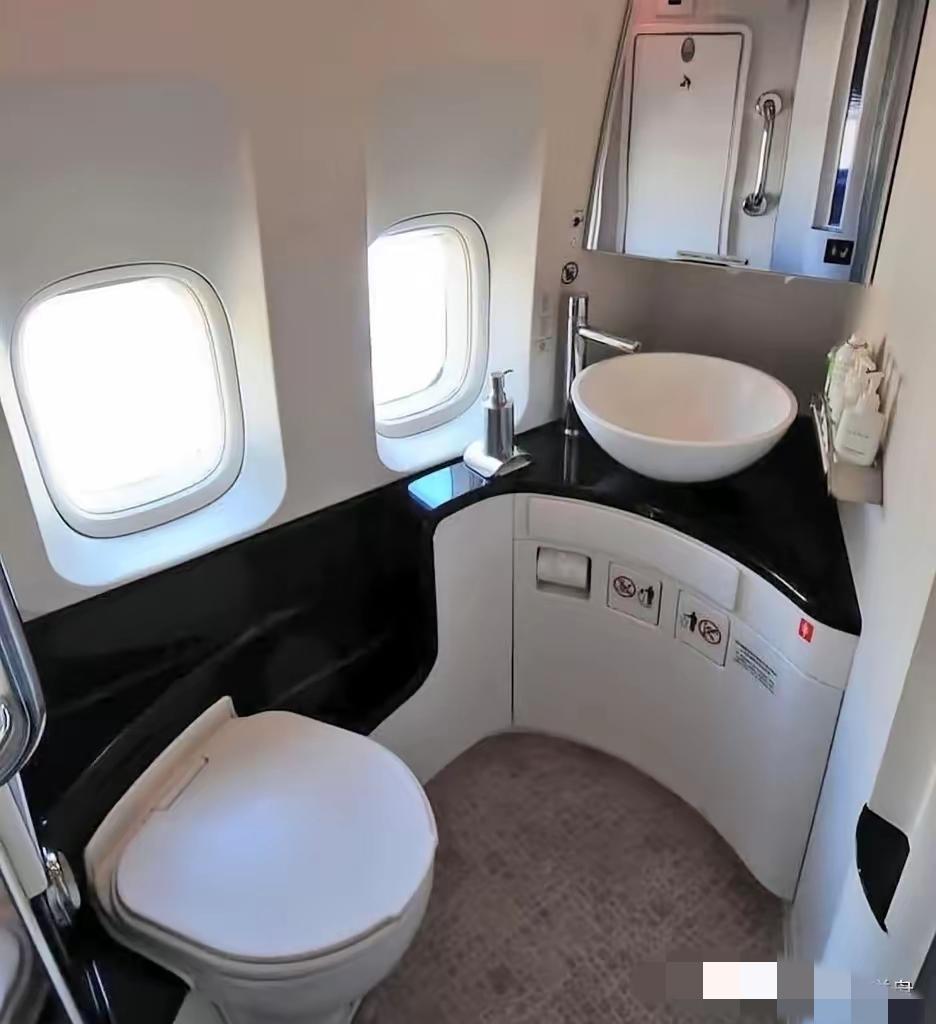 笑不活了！头等舱洗手间没窗帘怕被偷窥？英航的回复直接让人笑到拍腿！女乘客吐