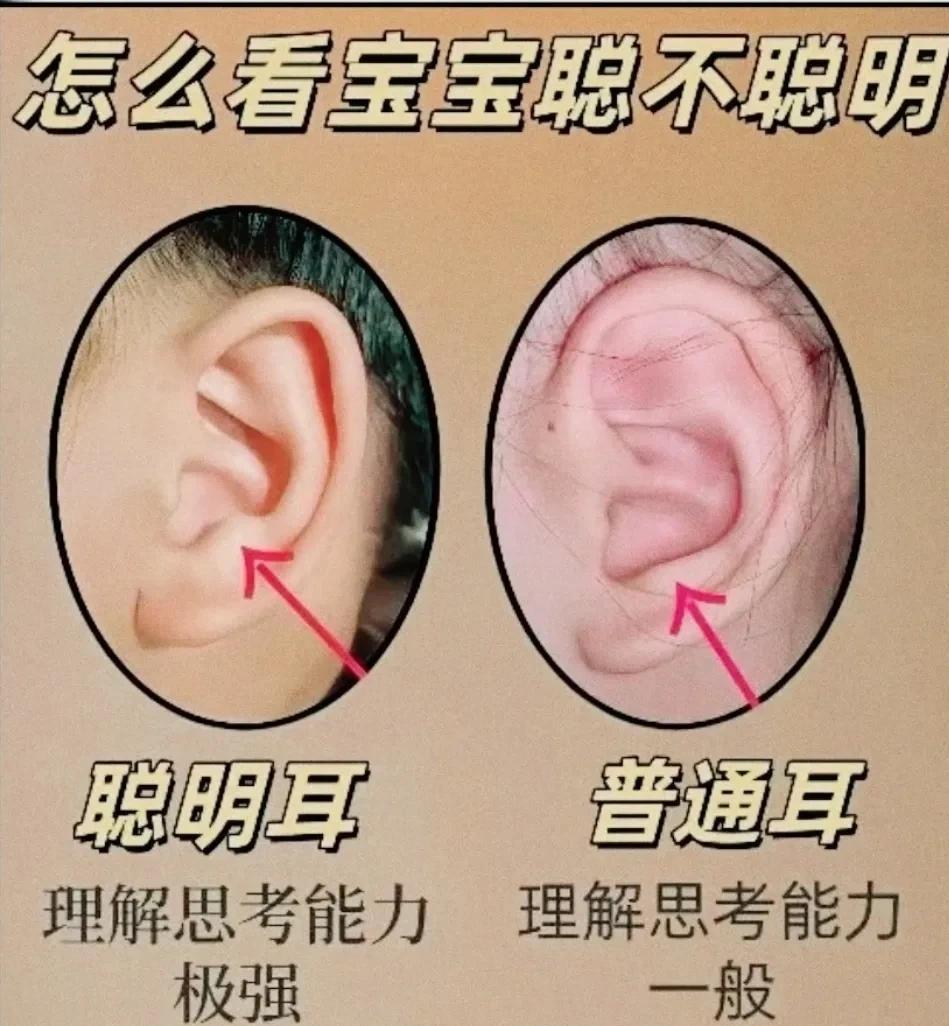 冷知识，怎么看你家宝宝聪不聪明？超级准的，别不信！对照你家孩子看一下，