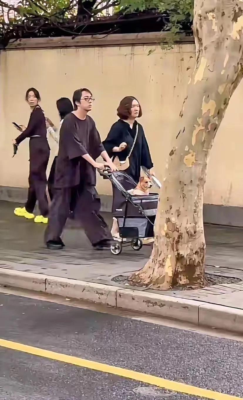 有钱人都喜欢养狗
