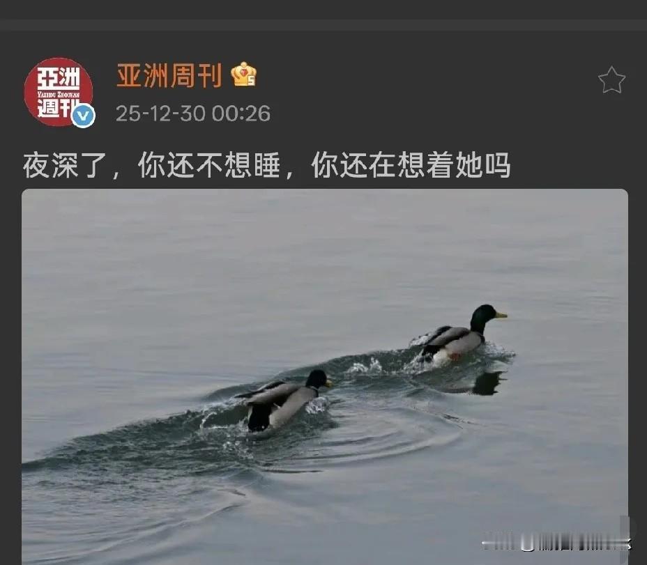 豆包诚不欺我，亚洲周刊这幅鸭子图有了答案。南京素有“鸭都”之称，说的还是南京的事