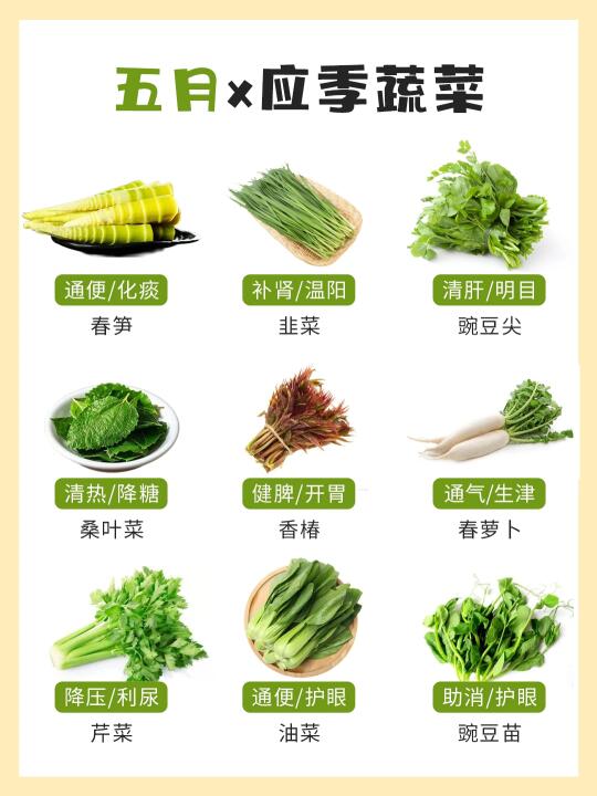 🌿五月时令蔬菜大合集!吃蔬菜首先应季！
