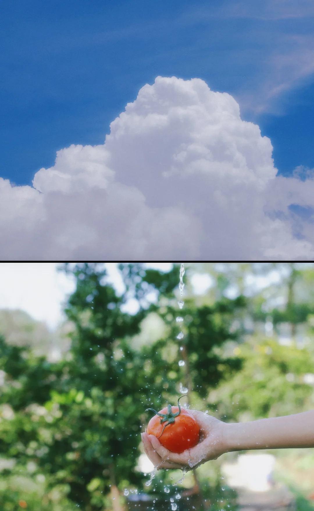 不知为何，总感觉乡下的时间走得慢一些…夏天快要结束了摄影日常生活美学美好