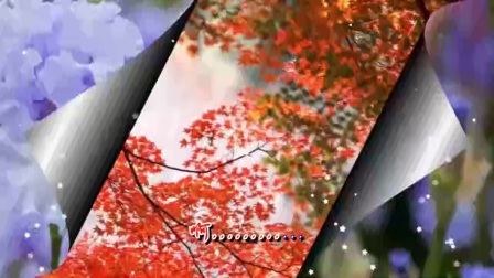 叫一声哥哥快回来简谱_春节回来说一声图片(3)