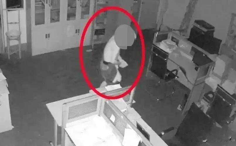 一场“真实版抓贼记”电瓶小偷盗窃一位热心户主利用监控，成功“锁定”了小偷的