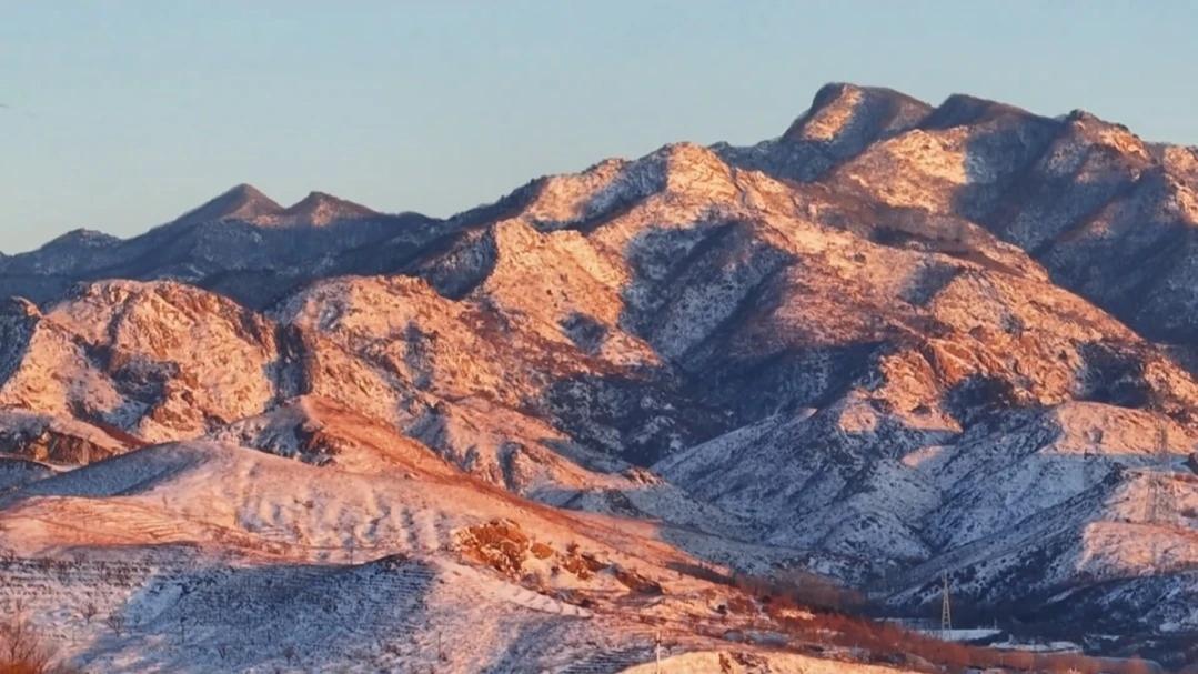 【不管什么时候，装傻总是最不易犯错】在职场里，“不管什么时候，