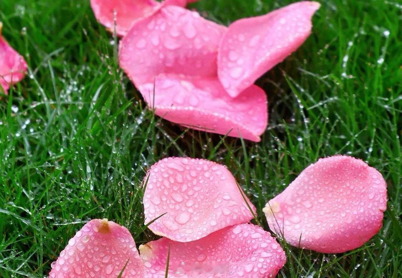 中国船舶，前身是沪东重机，在2007年开始的大牛市中从五元一口气涨到三百元，在短