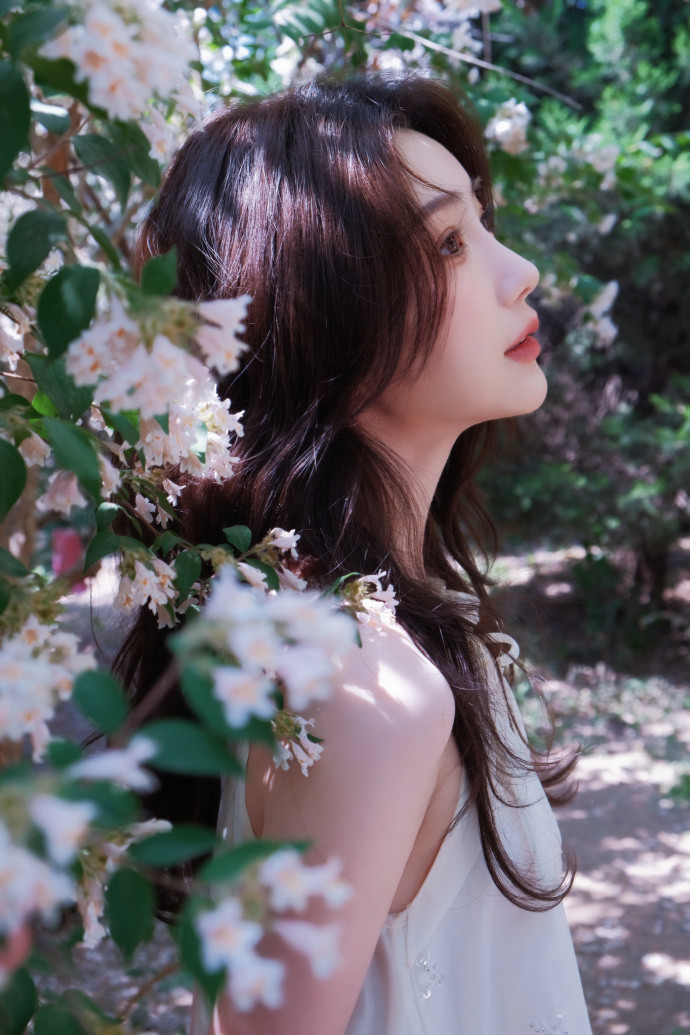 毛晓彤小白花即视感毛晓彤美成白月光了毛晓彤救命！毛晓彤这组花海写真直接美到心巴上