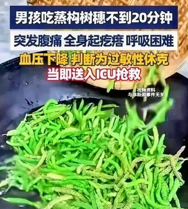 “悲剧还是发生了！”河南许昌，一男子带儿子去饭店吃饭，点了一份蒸构树穗，不料，吃