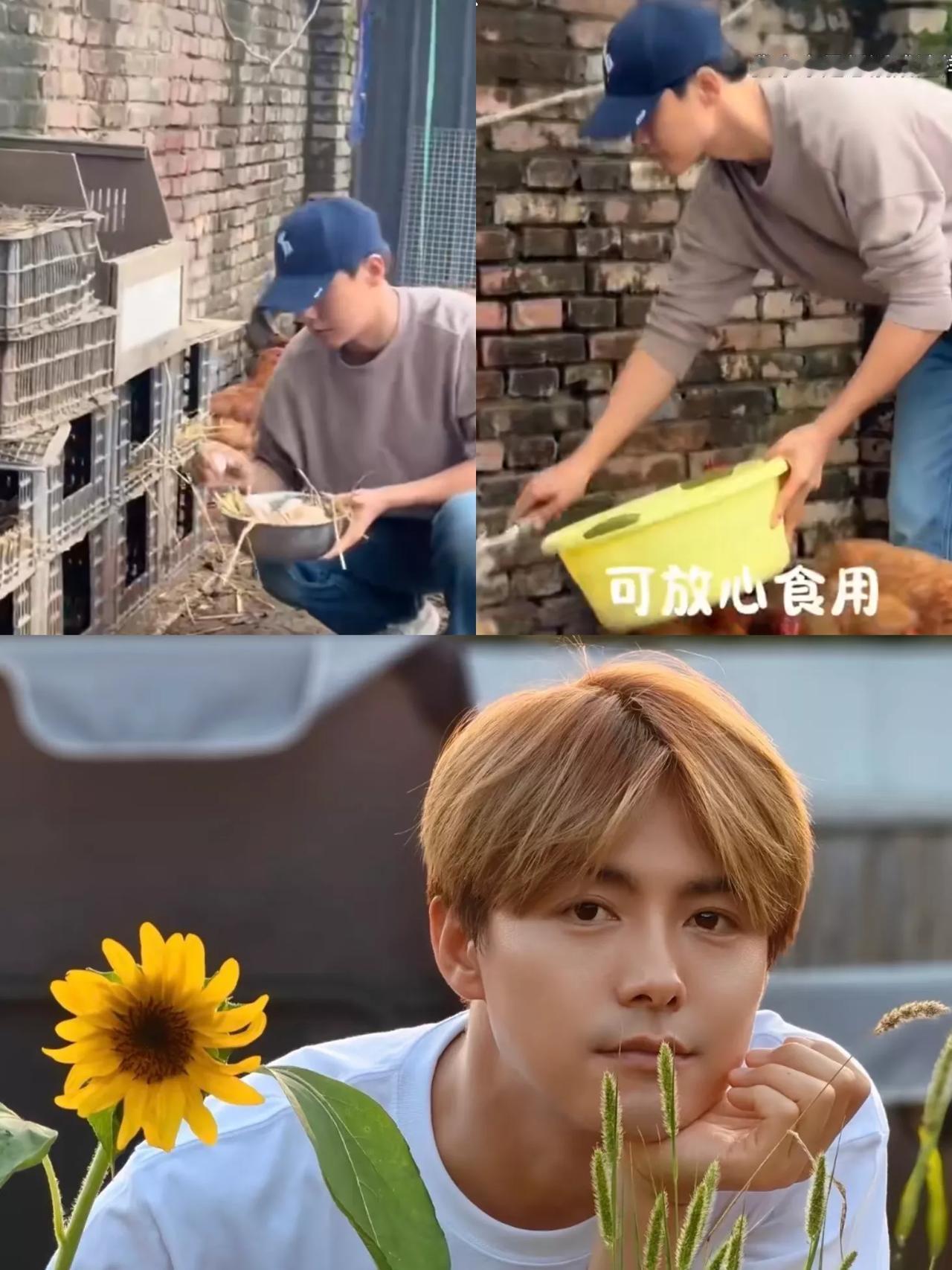 我敢打包票马天宇不进组而去养鸡不是因为害怕遇到小人，也不是为了赚钱而是因为