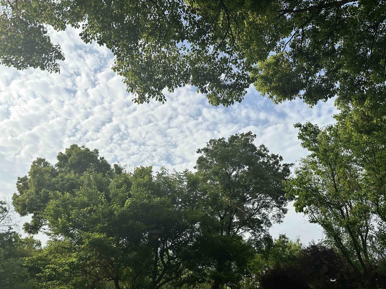 大家有没感觉到，现在的小孩说话挺“毒”的。今天带孩子出去玩，停下来休息的时候