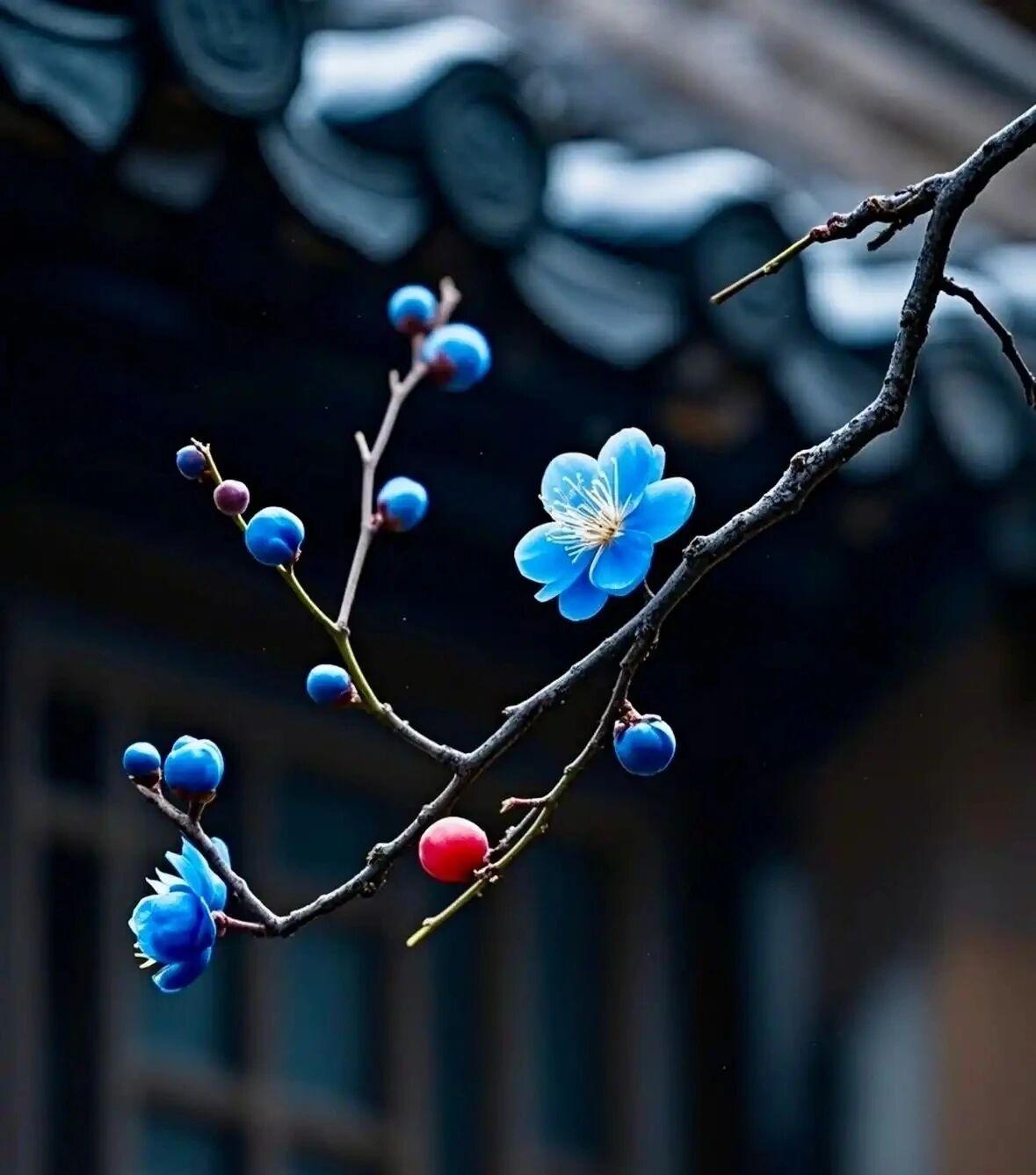 人生本过客，得失皆随缘。你怎么看人生本是一场匆匆路过，不必执着于一时得失。得到是