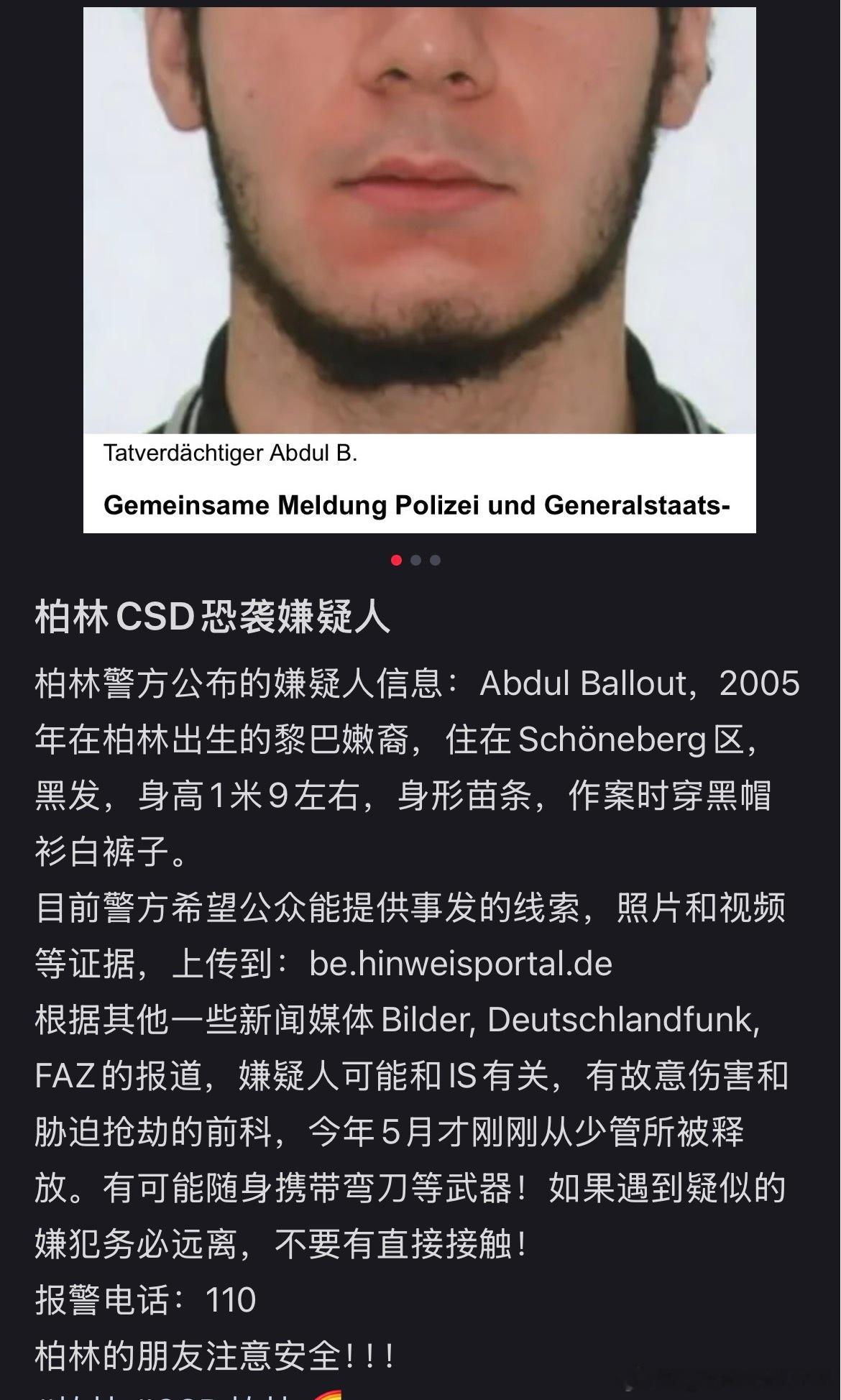 国内IP在线抨击德国“ADI”自由派那么爱德却连AFD都拼不对吗