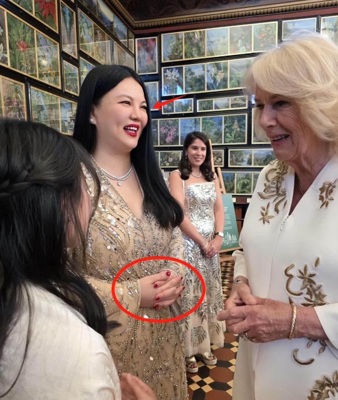 这一次，连“贵妇人设”都救不了李湘和王诗龄：起因是5月14日，李湘带着女儿王