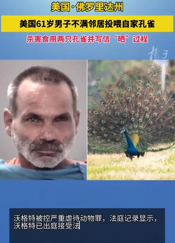 佛州一老爷子嫌邻居老给他家孔雀投喂，气得把自家两只孔雀宰了煎锅煮了吃，还写信道贺