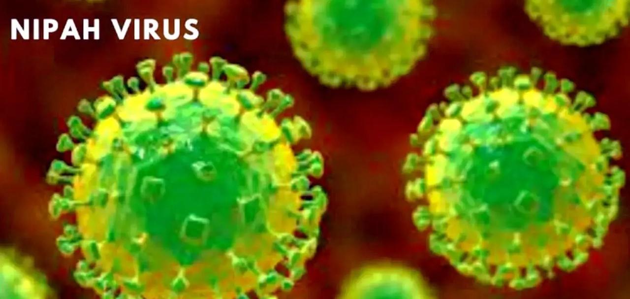 警报已经拉响！印度这次闯了大祸！就在周边邻国还在观望的时候，泰国和尼泊尔已经率先