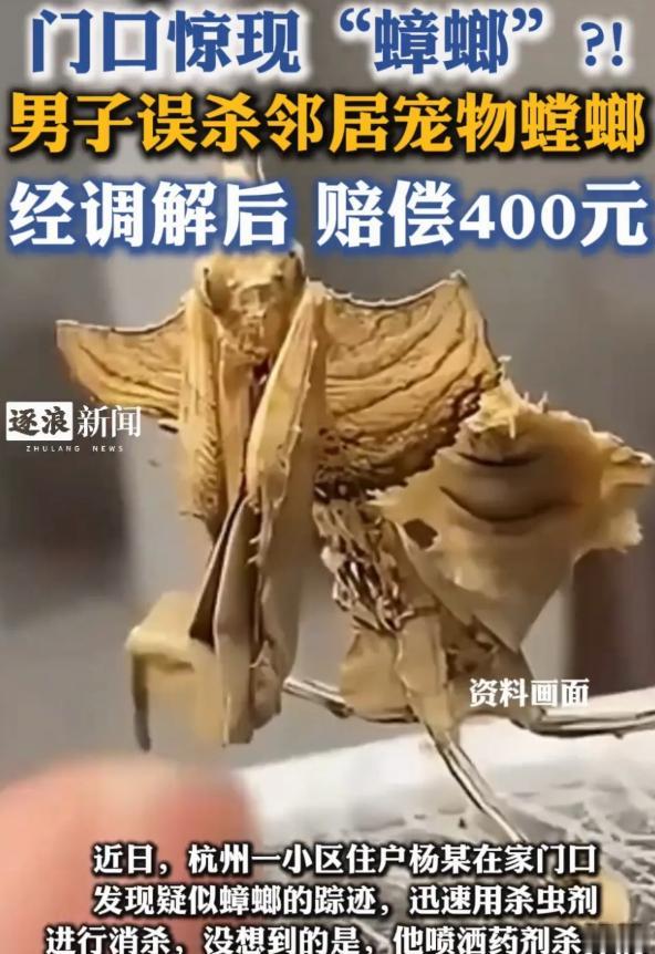 解释不清了！今年7月，浙江，杨先生看到家门口有虫子，就用杀虫剂喷死了。结果邻居却